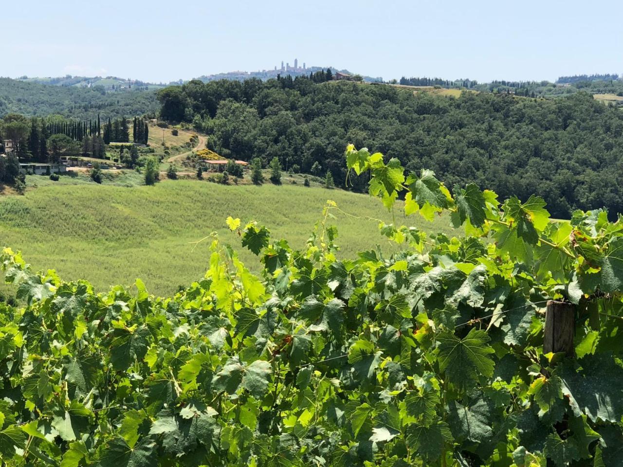 Agriturismo L'Olmo San Gimignano Exterior foto